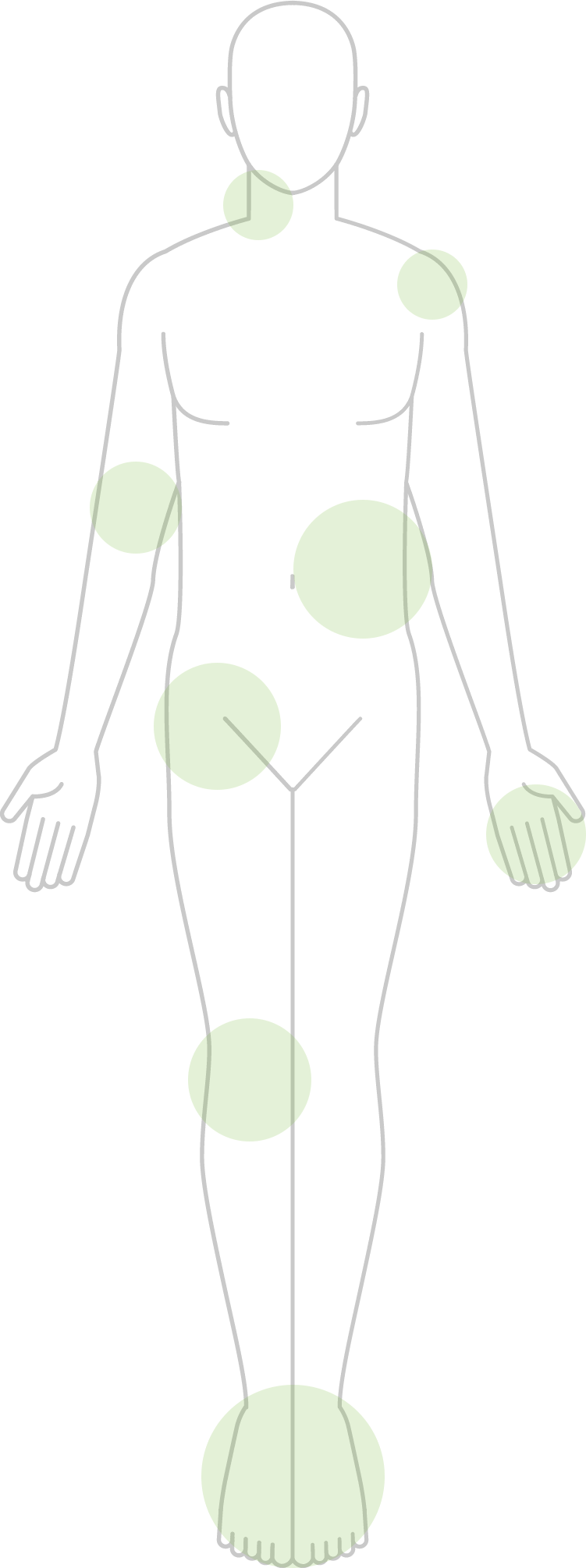 人体のイラスト