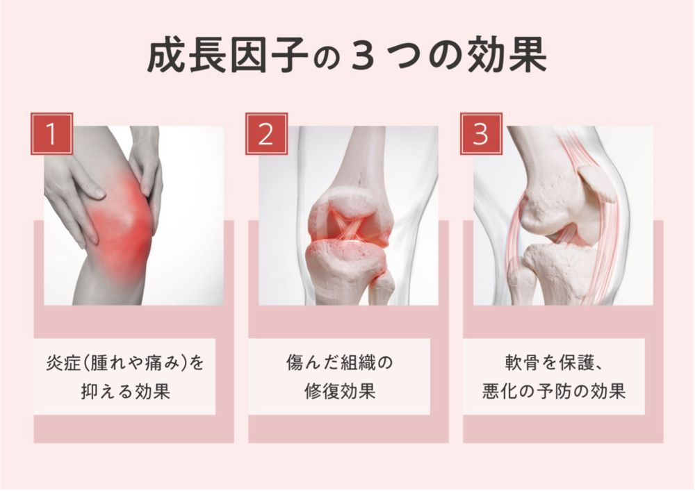 成長因子の3つの効果。①炎症を抑える効果。②傷んだ組織の修復効果。③軟骨を保護、悪化の予防の効果。